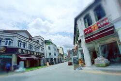 Geylang Road (D14), Shop House #604856661